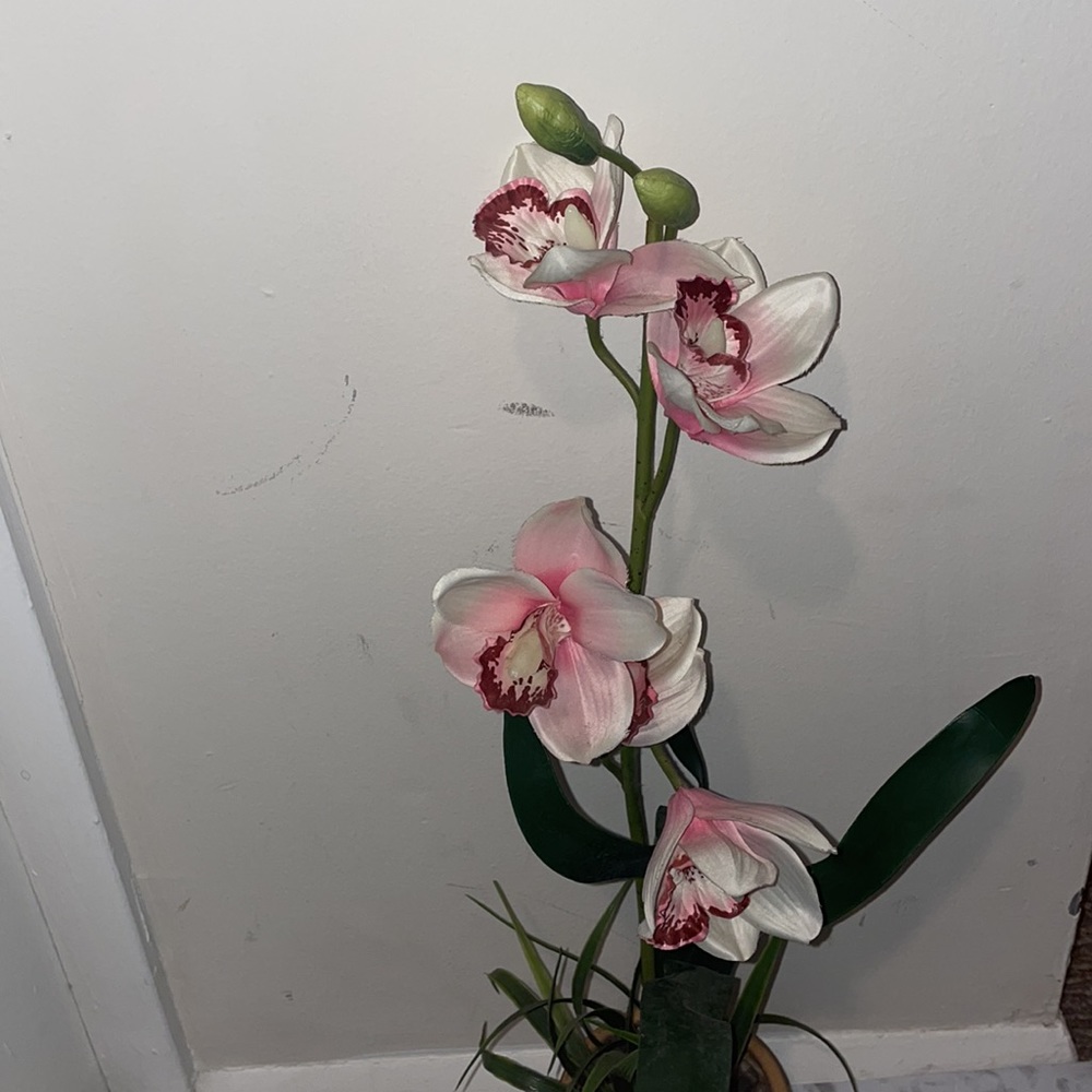 Home Decor - Picture 2 of 4